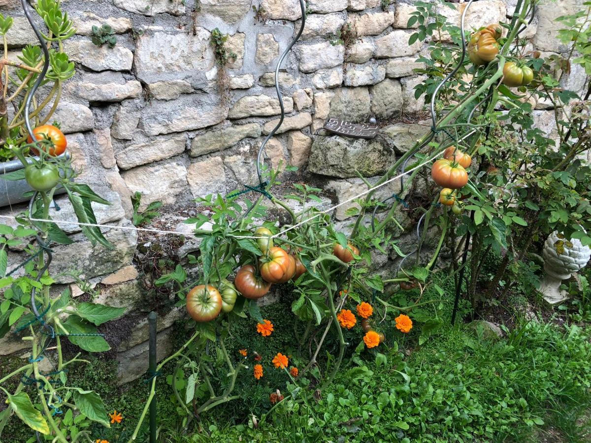 44 Rue Cap Bed & Breakfast Caen Dış mekan fotoğraf