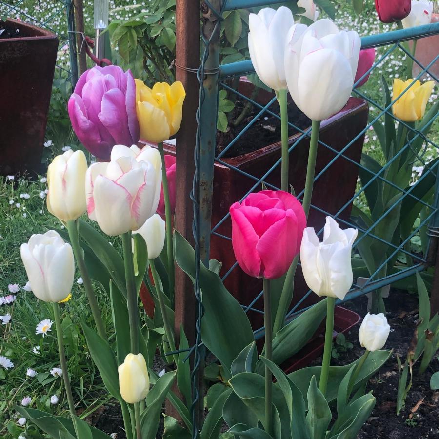 44 Rue Cap Bed & Breakfast Caen Dış mekan fotoğraf
